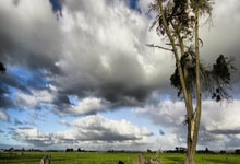 澳门新葡京娱乐城：[冰雪]卢卡斯·弗尔斯泰因夺得男子组冠军.