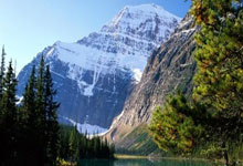 北京十连胜危险了,上海出招镇海式,麻烦了.